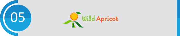 Wild Apricot consistently ranks among the best association management software on the market.