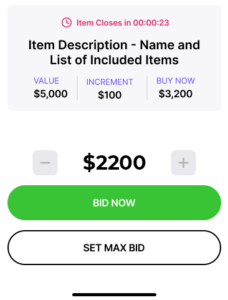 A screenshot of an online auction item bidding screen.