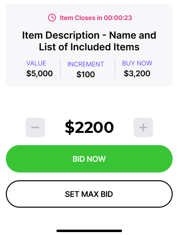 A screenshot of an online auction item bidding screen.